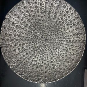 Silver sea urchin Textured Circular Wall Art
